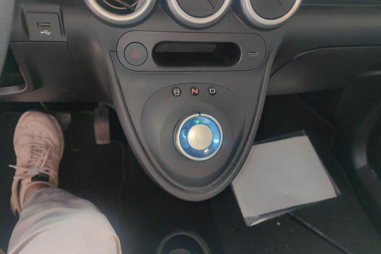 欧拉黑猫 2021款 301km 基础型局部细节18