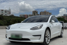 特斯拉 Model 3 2021款 标准续航后驱升级版