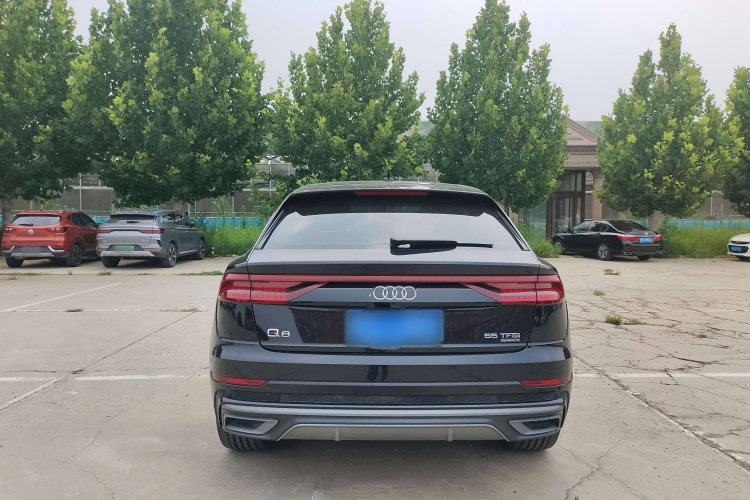 奥迪Q8 2022款 55 TFSI 豪华动感型车身外观6004