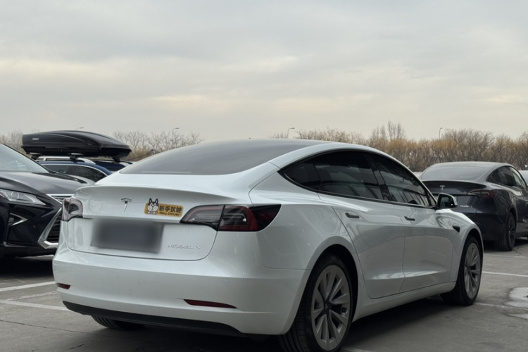 特斯拉 Model 3 2021款 标准续航后驱升级版 3D6车身外观6003
