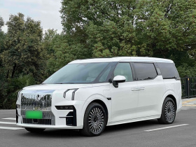 极氪009 2022款 WE版