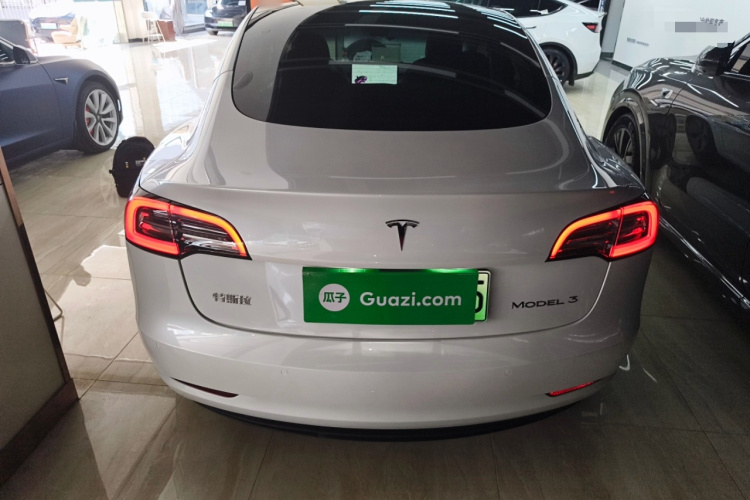 特斯拉 Model 3 2021款 改款 标准续航后驱升级版 3D1车身外观6004