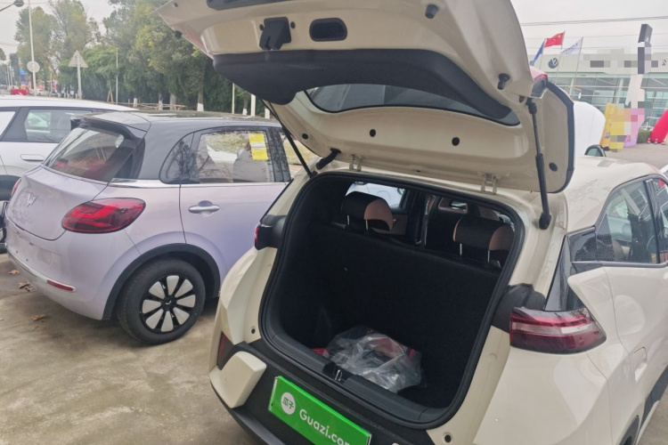 比亚迪 海鸥 2025款 305km 活力版机舱底盘23