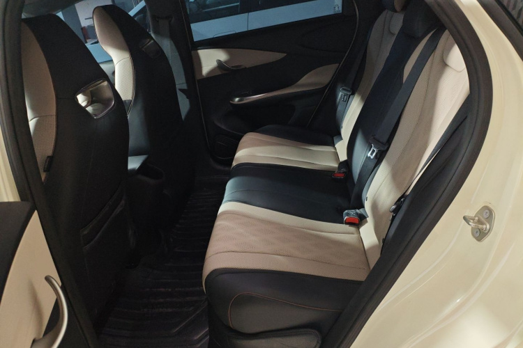 比亚迪 海豚 2023款 420km 自由版中控内饰21