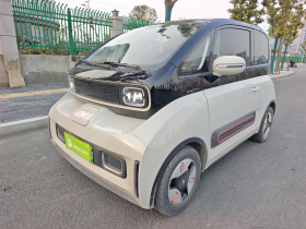 宝骏KiWi EV 2021款 艺术家 三元锂