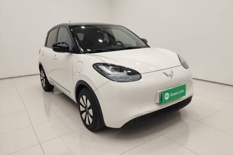 五菱汽车 五菱缤果 2023款 203km 舒享款车身外观3