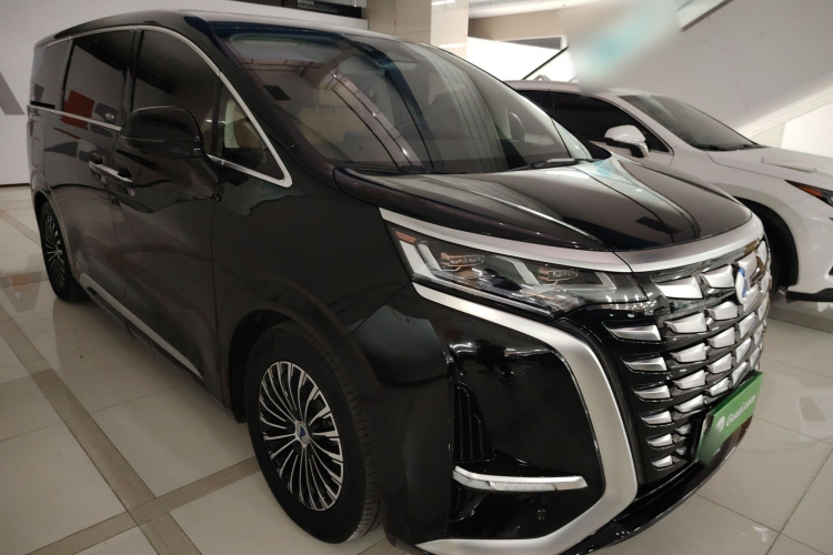 腾势D9 2024款 DM-i 980 四驱尊荣型车身外观3