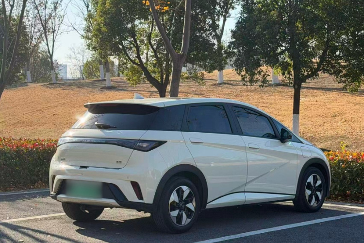 比亚迪 海豚 2025款 420km 时尚版车身外观6003