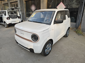 吉利银河 2024款 熊猫mini 200km 耐力熊