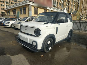 吉利银河 2025款 210km 熊猫卡丁