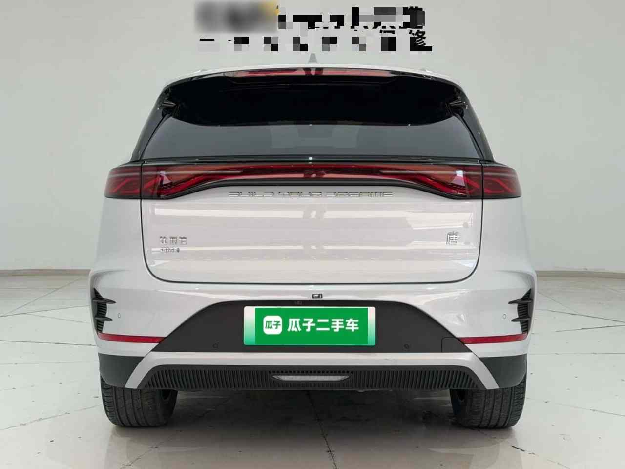 比亚迪 唐新能源 2025款 DM-i 115KM 尊荣型(3)