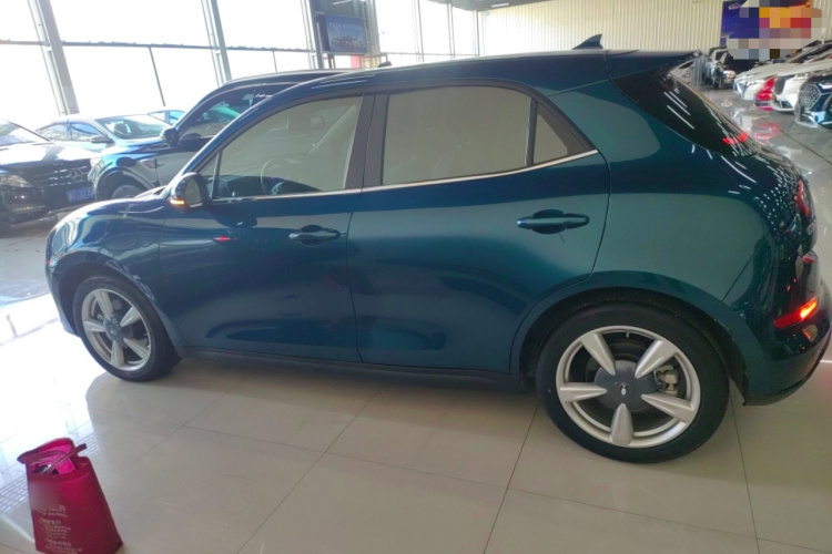 欧拉好猫 2022款 莫兰迪版 400km标准续航 豪华型 磷酸铁锂车身外观4