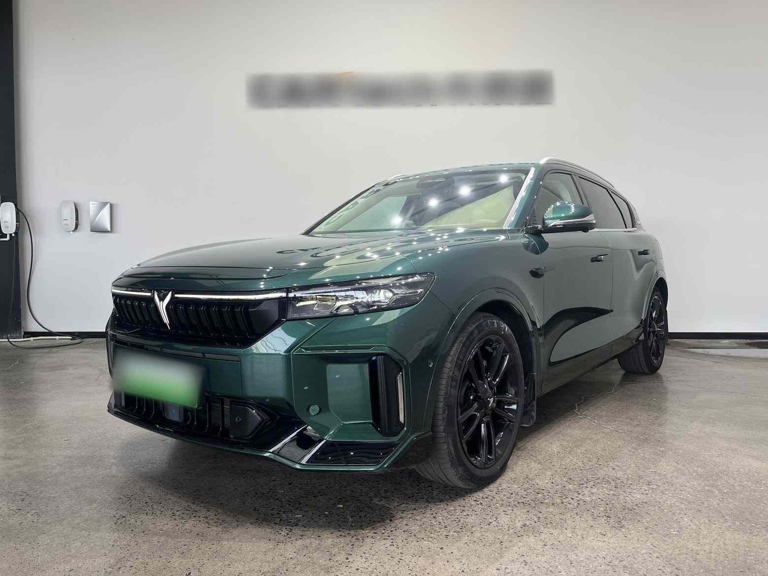 岚图汽车 岚图FREE 2024款 超长续航智驾版(1)