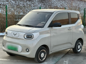 五菱汽车 宏光MINIEV 2024款 第三代 215km 青春版