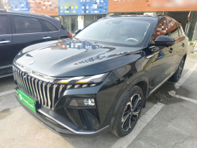 东风风神 皓极 2022款 马赫动力 1.5T 敢爱版