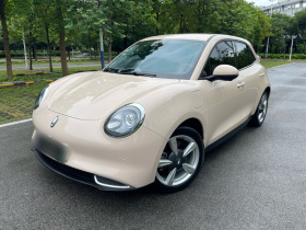 欧拉好猫 2023款 401km标准续航 豪华型 磷酸铁锂