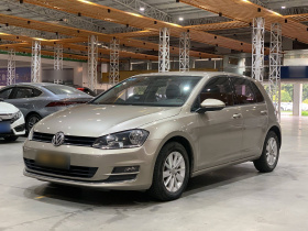 大众 高尔夫 2016款 1.6L 自动时尚型