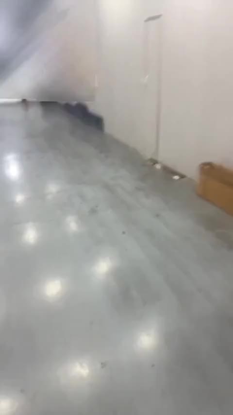 奔驰C级 2019款 改款 C 260 L 运动版讲解1