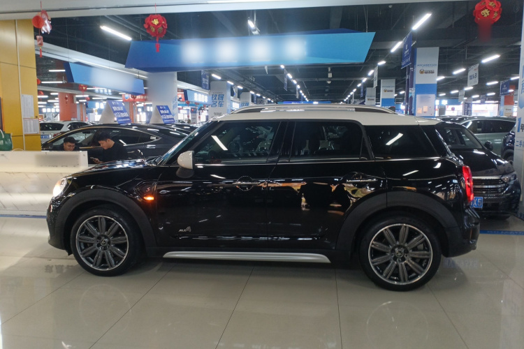 MINI Countryman 2018款 2.0T COOPER S ALL4 艺术家车身外观6003