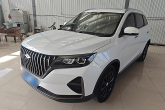 北汽瑞翔X5 2021款 1.5T 自动精英型 5座
