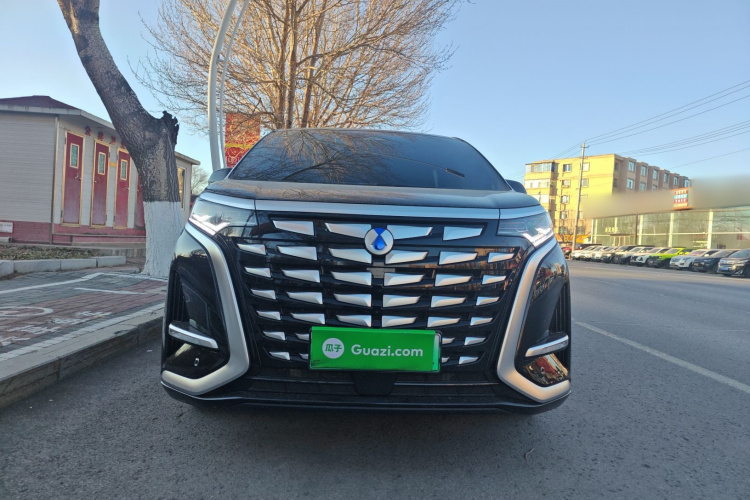 腾势D9 2024款 DM-i 1050 尊享型车身外观6001