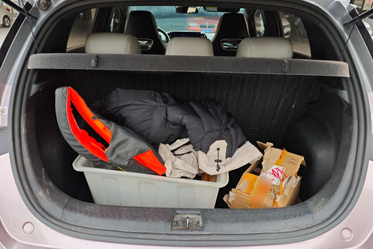 比亚迪 海豚 2021款 401km 骑士版局部细节23