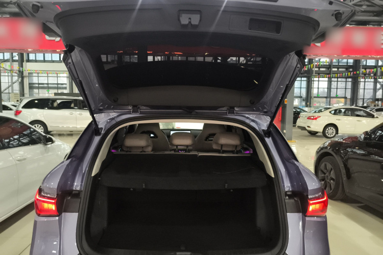 比亚迪 元PLUS 2023款 冠军版 510KM 超越型局部细节23