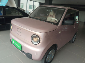 吉利银河 2024款 熊猫mini 200km 龙腾版