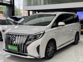 广汽传祺 传祺M8 2021款 领秀系列 390T 尊贵版