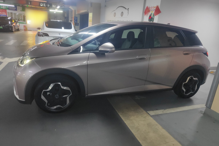 比亚迪 海豚 2021款 405km 自由版车身外观6003