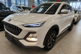 思皓X8 2021款 300T DCT全景豪华版 5座