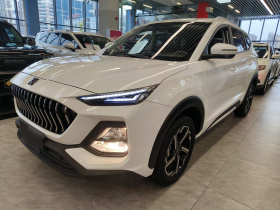 思皓X8 2021款 300T DCT全景豪华版 5座