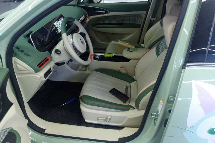 欧拉好猫 2022款 400km标准续航 尊贵型 磷酸铁锂局部细节19