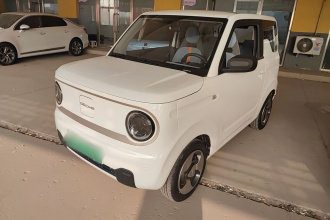 吉利银河 2023款 熊猫mini 200km 灵动熊