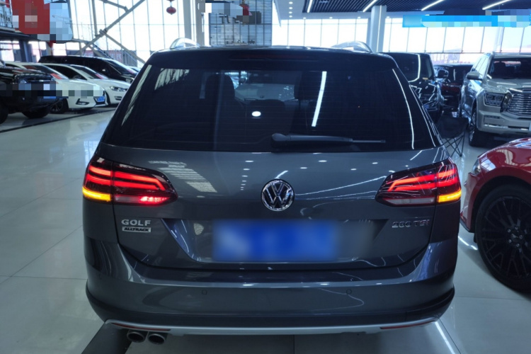 大众 高尔夫(进口) 2019款 1.8TSI 旅行版车身外观6