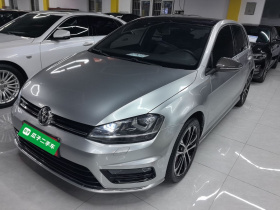 大众 高尔夫 2016款 1.4TSI 自动R-Line