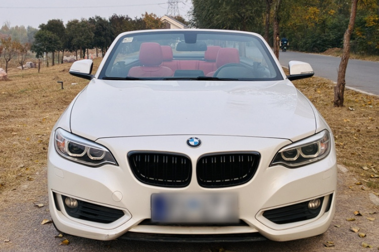 宝马2系(进口) 2015款 218i 敞篷轿跑车车身外观6005