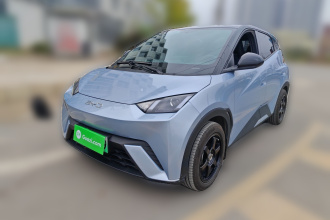 比亚迪 海鸥 2024款 荣耀版 305km 活力版