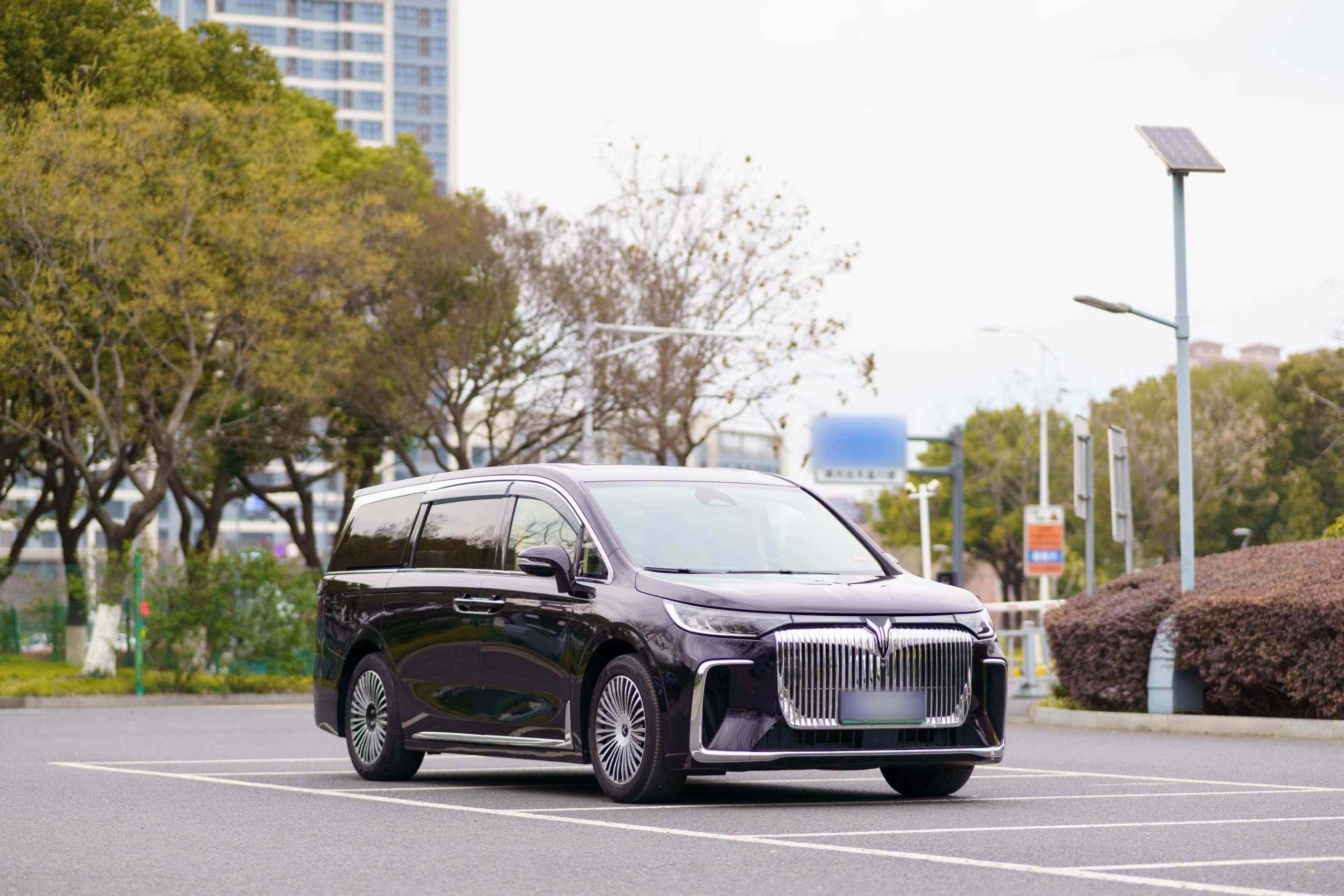 岚图汽车 岚图梦想家 2025款 PHEV 四驱尊贵鲲鹏版(4)