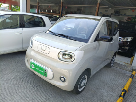 五菱汽车 宏光MINIEV 2024款 第三代 215km 青春版