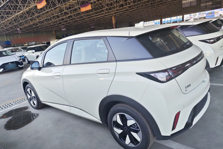 比亚迪 海豚 2025款 420km 自由版车身外观6005