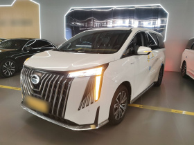 广汽传祺 传祺M8 2024款 大师系列 400T 尊贵版