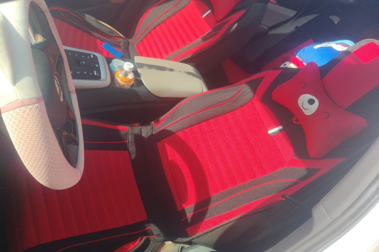 比亚迪 宋Pro新能源 2023款 冠军版 DM-i 110KM超越型局部细节19