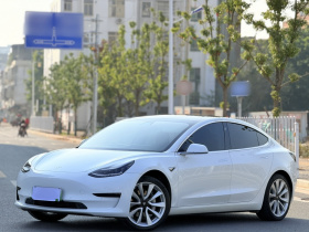 特斯拉 Model 3 2019款 标准续航后驱升级版