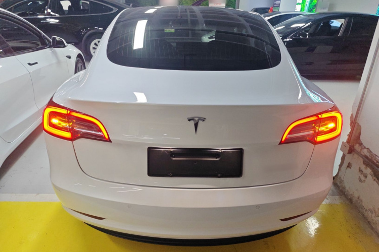 特斯拉 Model 3(进口) 2019款 长续航全轮驱动版车身外观6