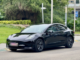 特斯拉 Model 3 2021款 标准续航后驱升级版 3D6