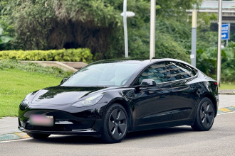 特斯拉 Model 3 2021款 标准续航后驱升级版 3D6