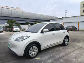 五菱汽车 五菱缤果 2023款 203km 轻享款