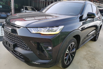 哈弗H6S 2022款 2.0T 两驱悦跑版