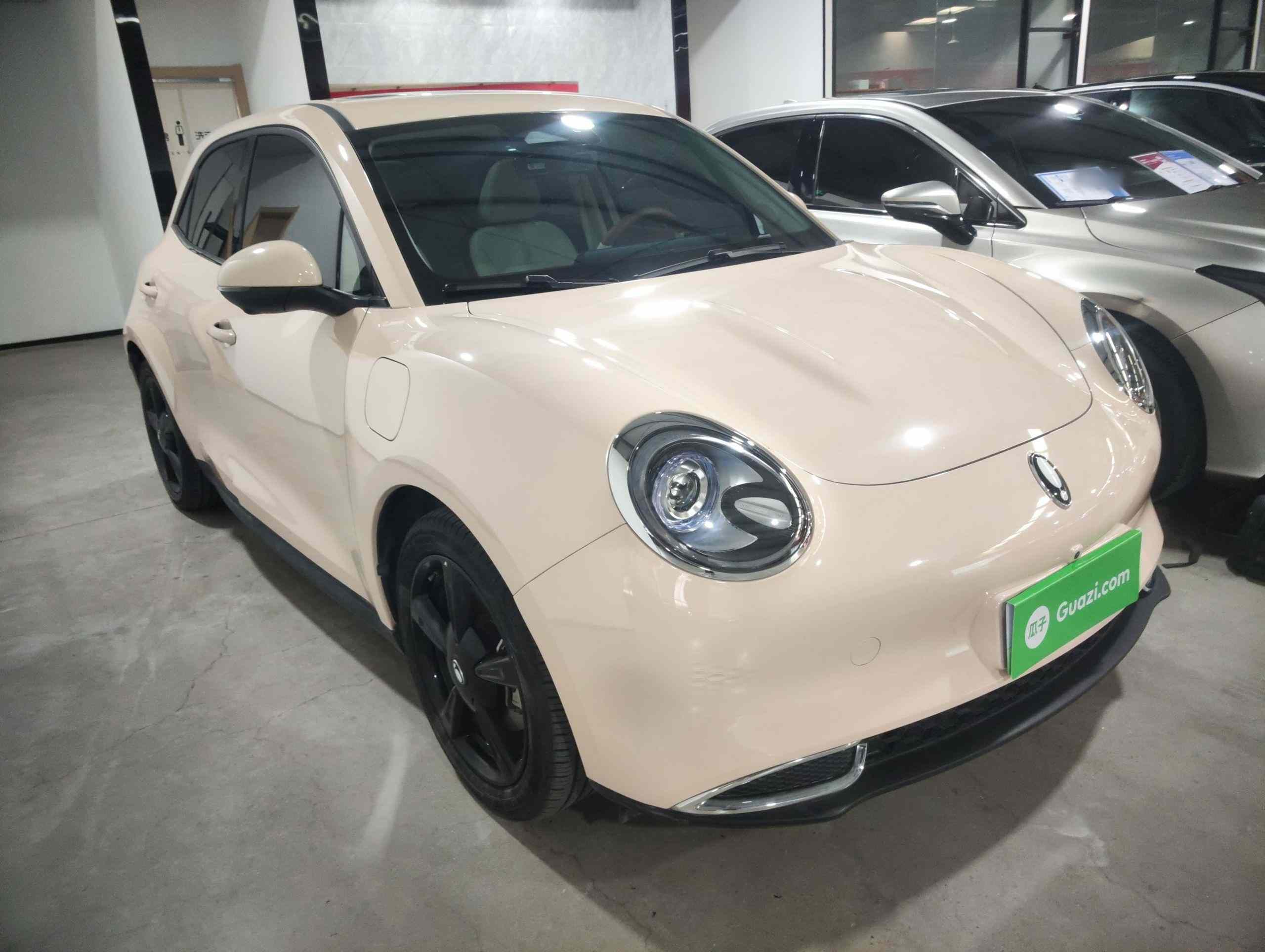 欧拉好猫 2024款 401km 豪华型(5)